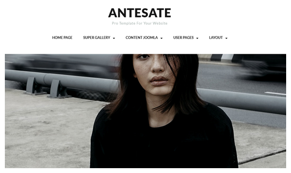 antesate joomla theme