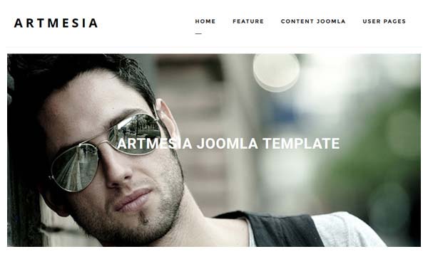 artmesia joomla theme