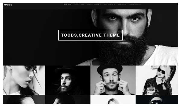 toods joomla theme