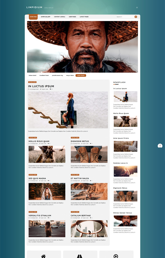 limpidium-pro template